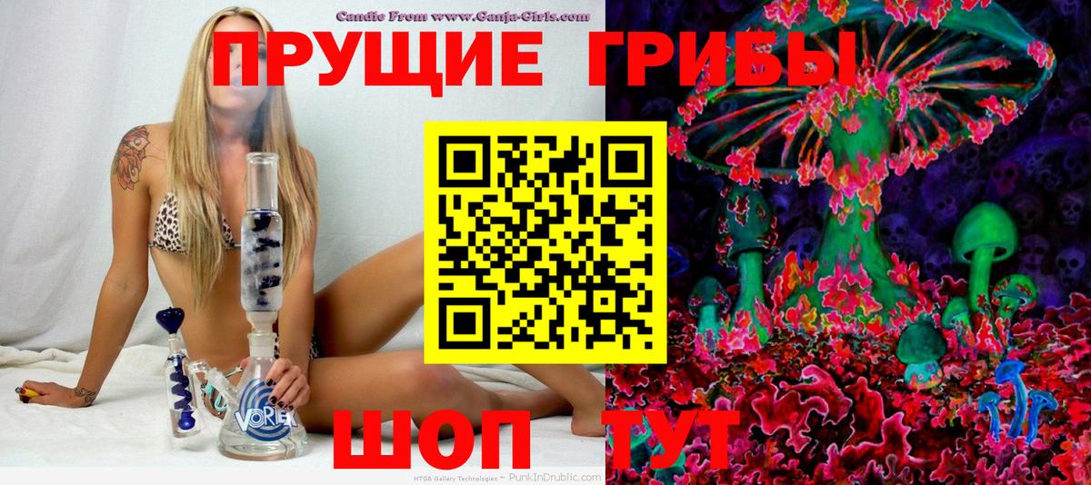 Псилоцибиновые грибы Psilocybine cubensis Орехово-Зуево